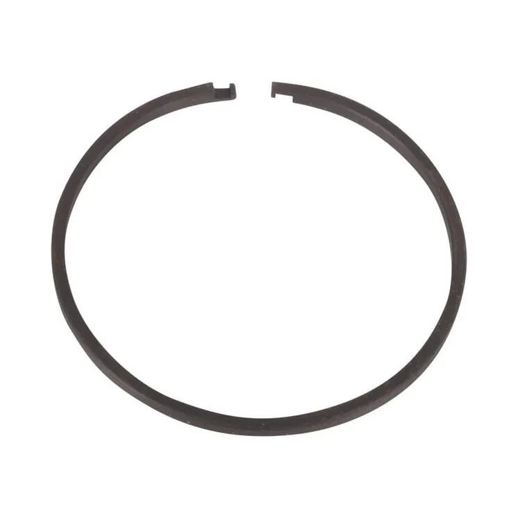 Segment ring  0734401106 ZF