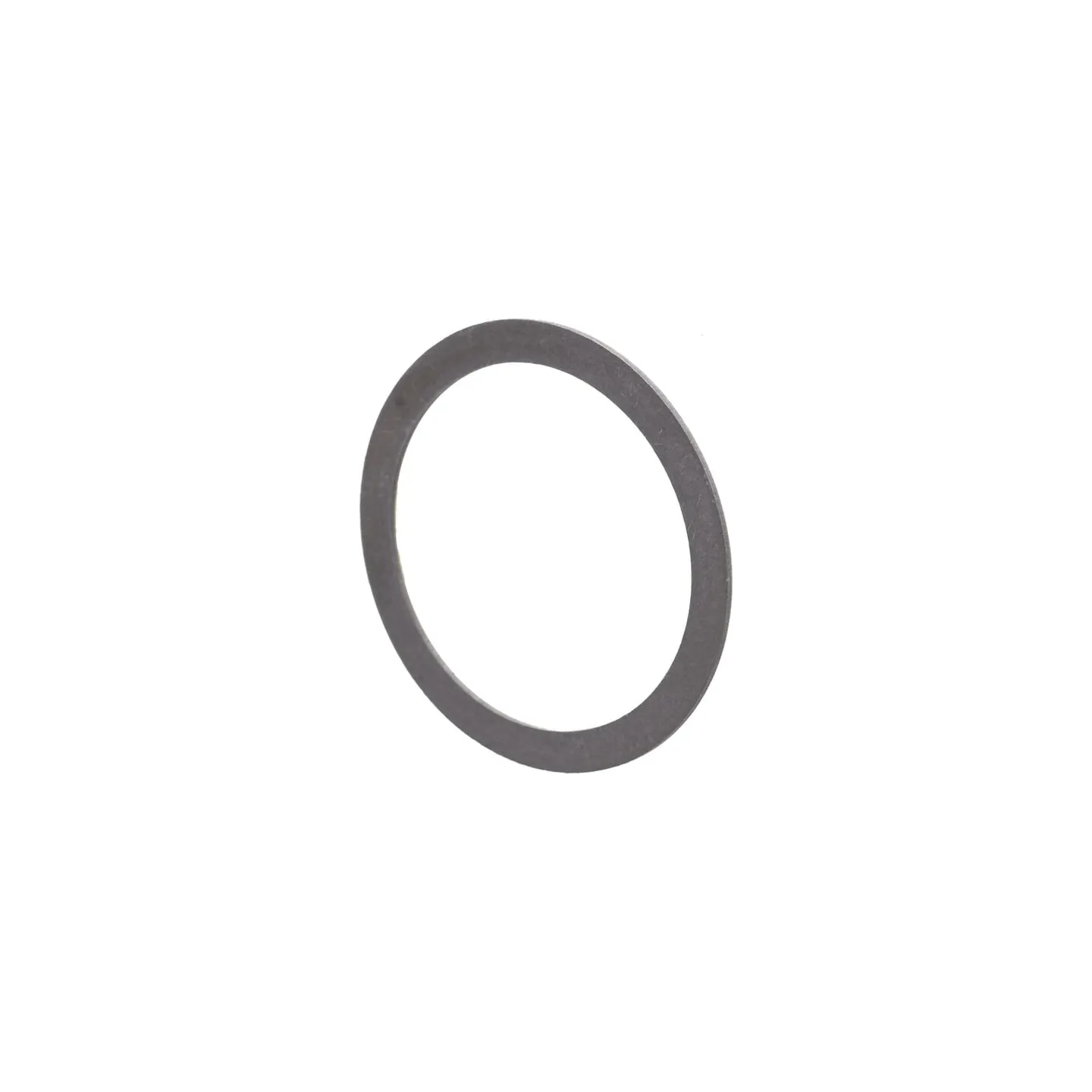 Circlip  0630501019 ZF