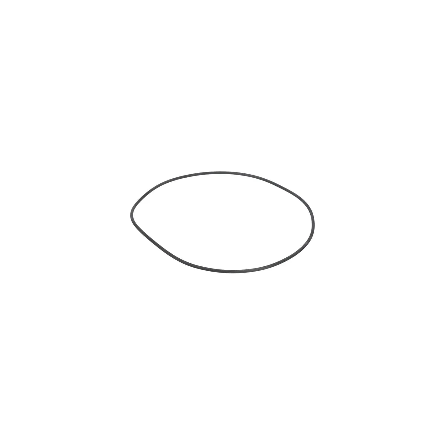 O-ring  0634303980 ZF