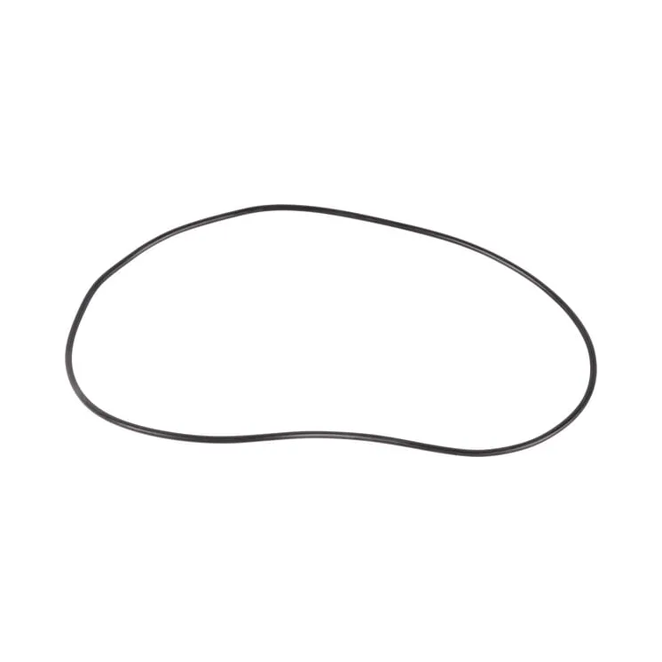 O-ring  0634313999 ZF