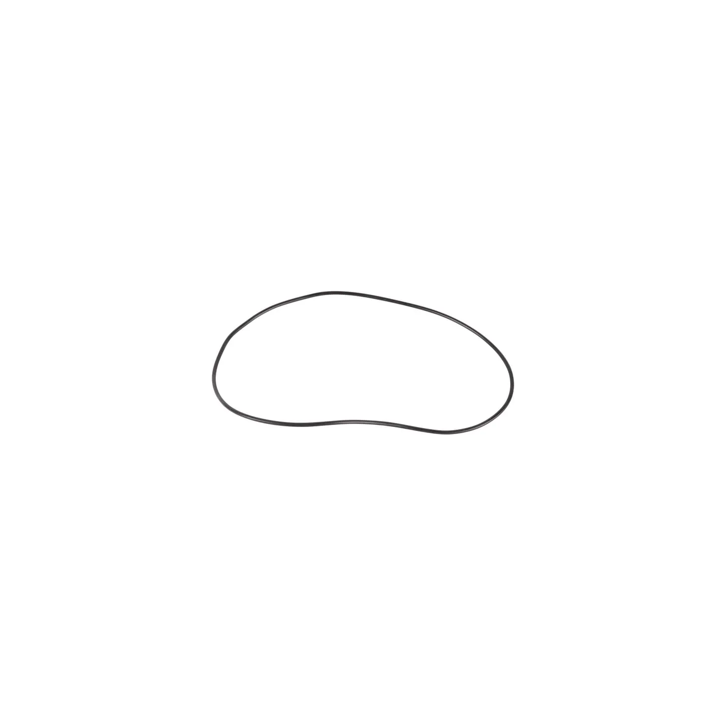 O-ring  0634313999 ZF
