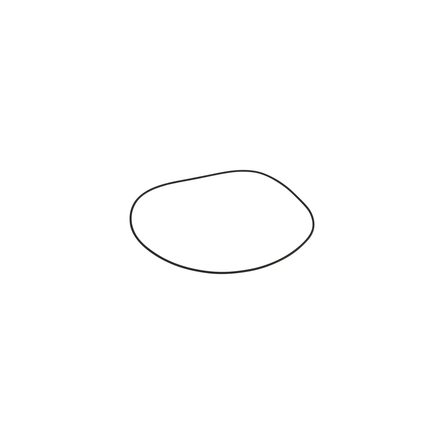 O-ring  0634304012 ZF