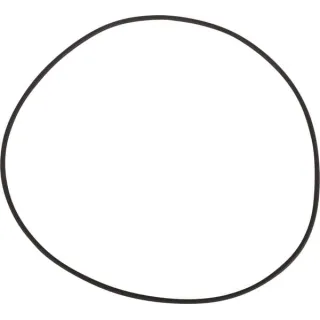 O-ring  0634313639 ZF