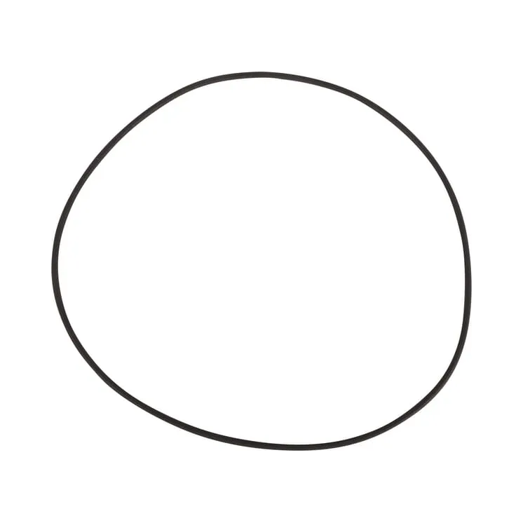 O-ring  0634313639 ZF