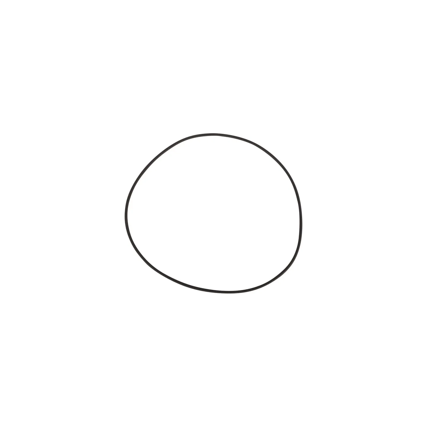 O-ring  0634313639 ZF