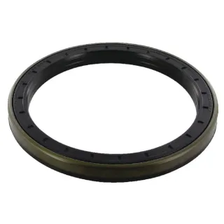Oil seal  0734309421 ZF 0750110147 1964235C2N