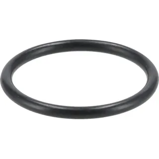 O-ring  0634303266 ZF