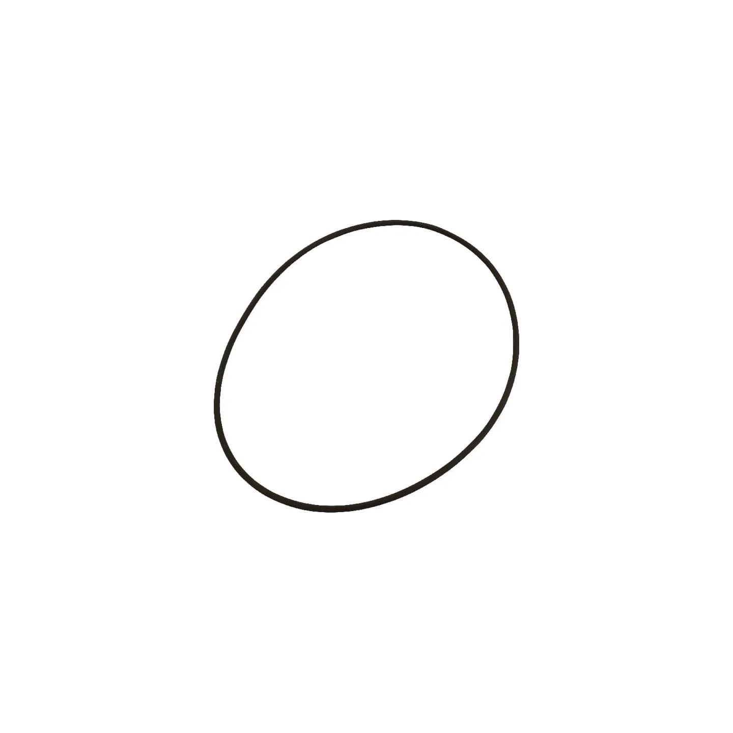 O-ring  0634303227 ZF