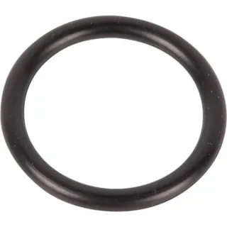 Blīve 0634306213 ZF