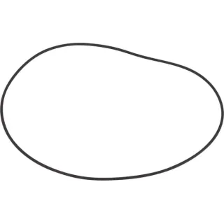 Gasket  0634303684 ZF
