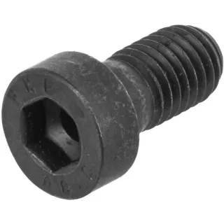 Vāciņa galvas skrūve 0636102041 ZF
