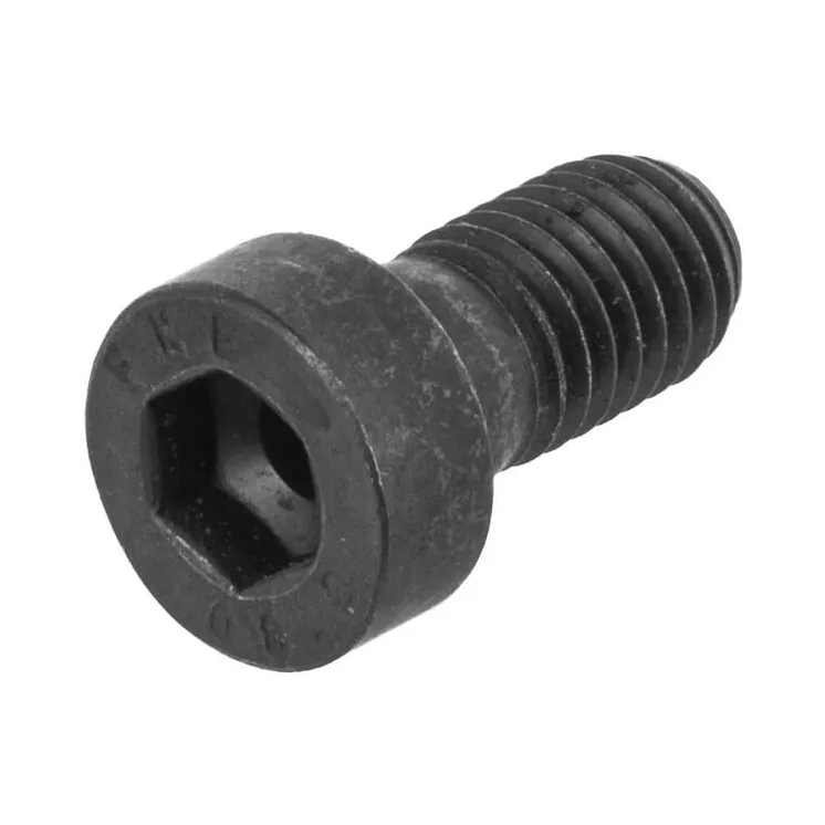 Cap head bolt  0636102041 ZF