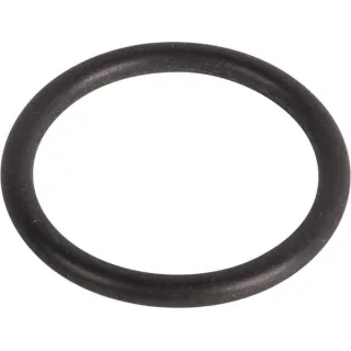 O-ring  0634303848 ZF