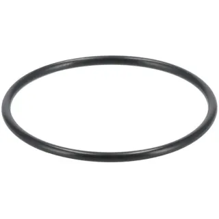 O-ring  0634306247 ZF