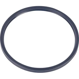 Blīve 0634312342 ZF