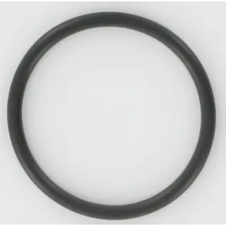O-ring  0634303417 ZF