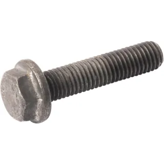 Special bolt  0750108013 ZF