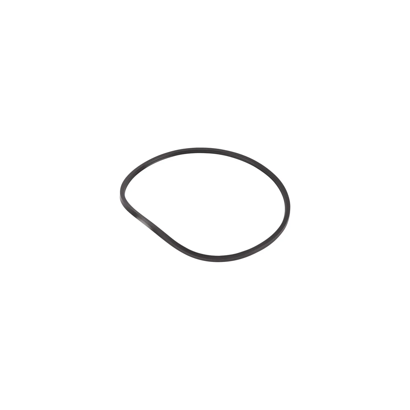 O-ring  0501319959 ZF