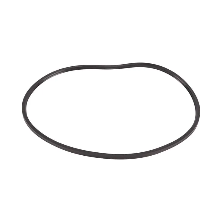 O-ring  0501319960 ZF