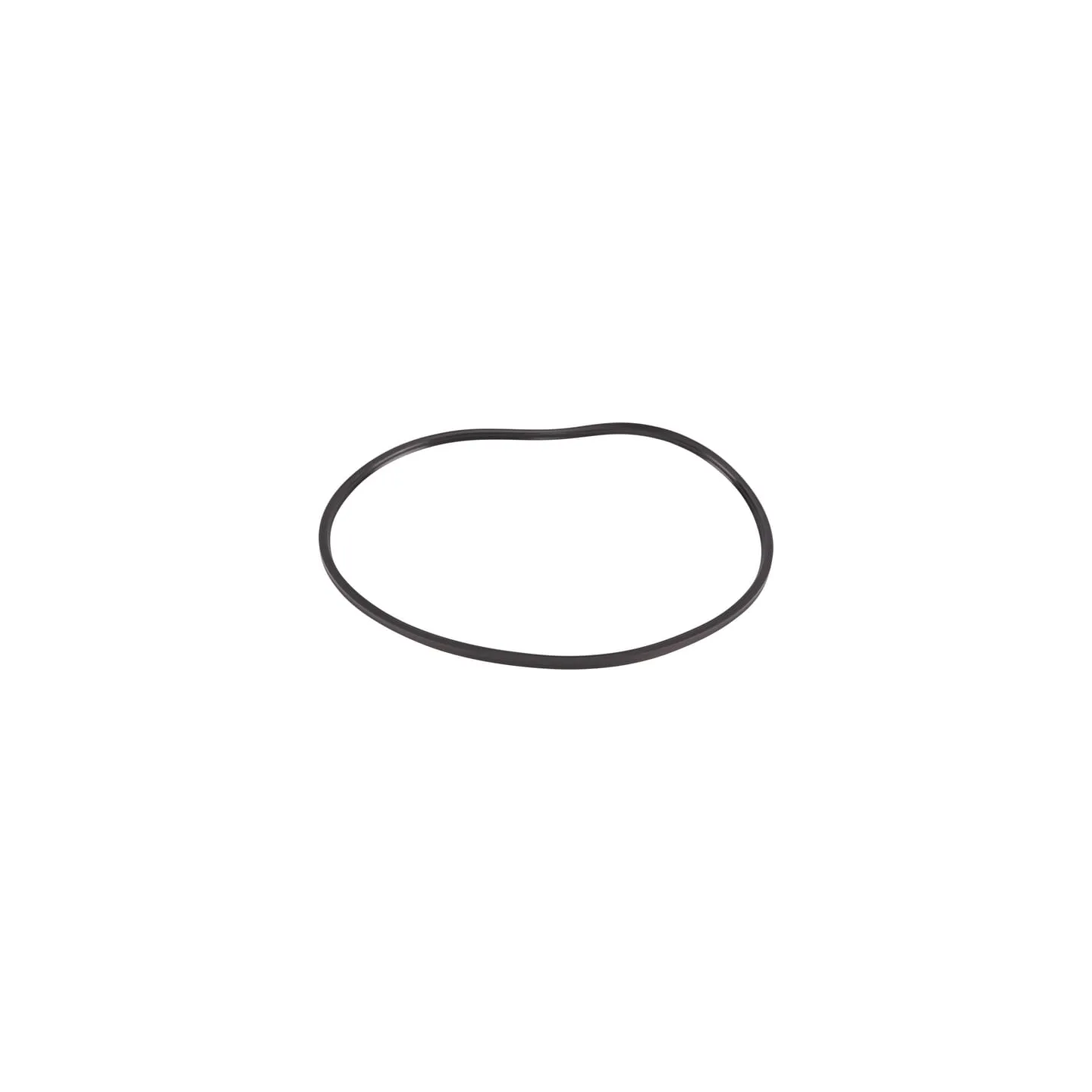 O-ring  0501319960 ZF