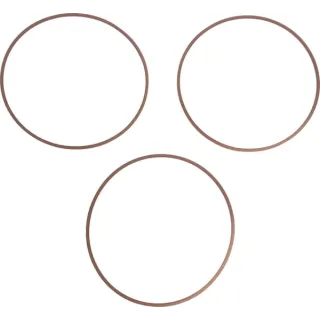 Ring  0501335110 ZF