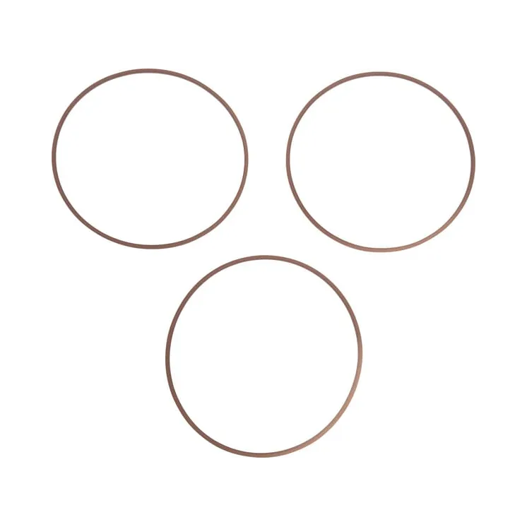 Ring  0501335110 ZF