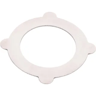 Disc  4131303193 ZF