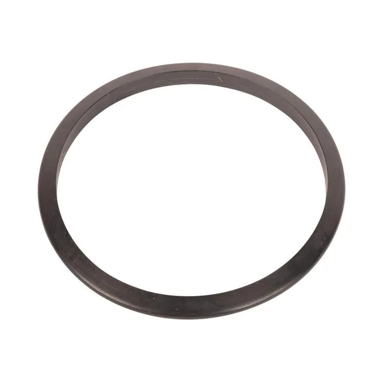 Seal  4472354025 ZF