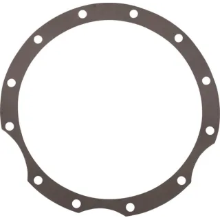 Gasket  4642311193 ZF