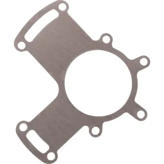 Gasket  4642301200 ZF