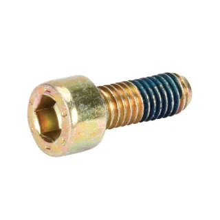 Screw M6 x 16 Rau  AC632014 Kverneland / Accord