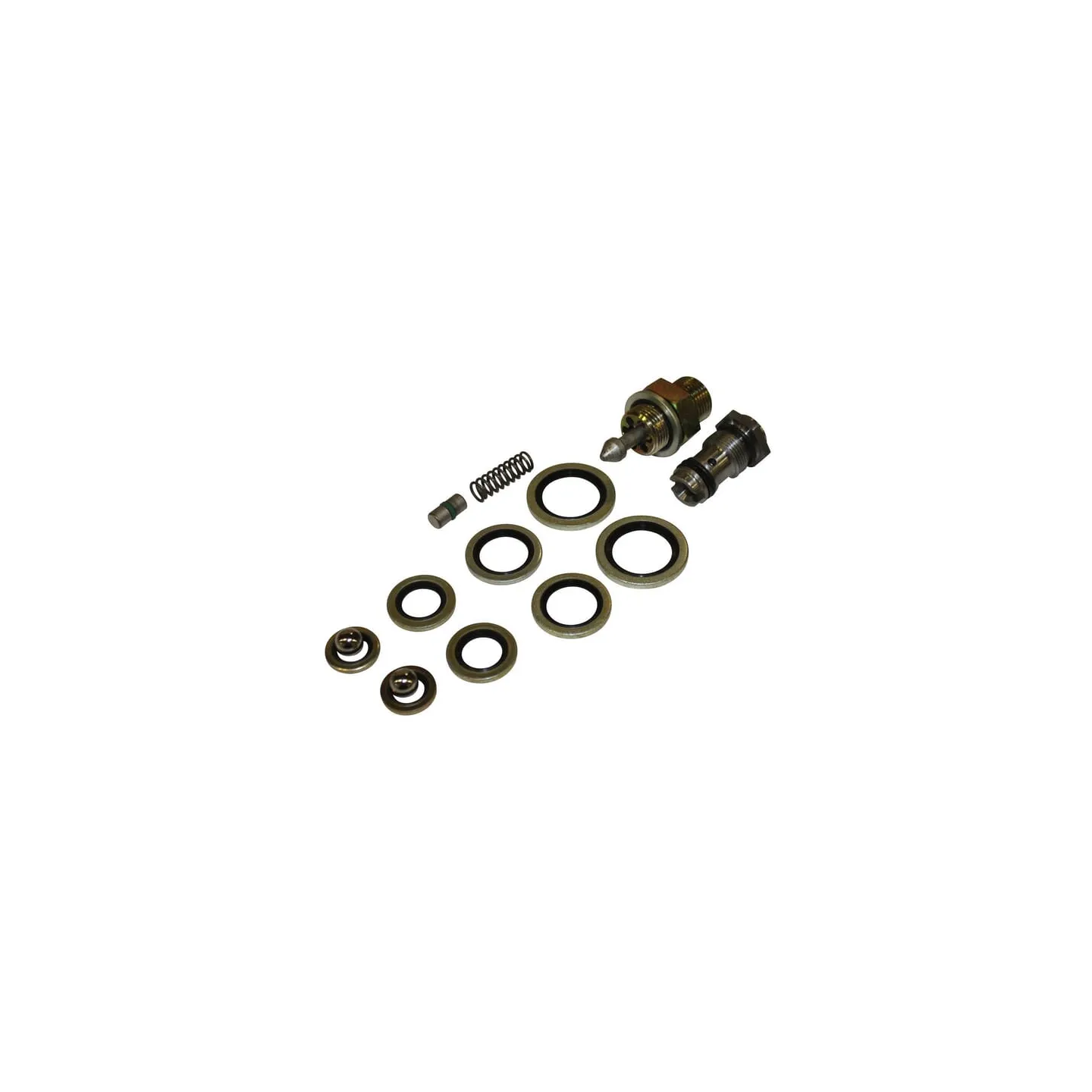 Rep-kit for valves KK012740-41-42-43  KK013645 Kverneland