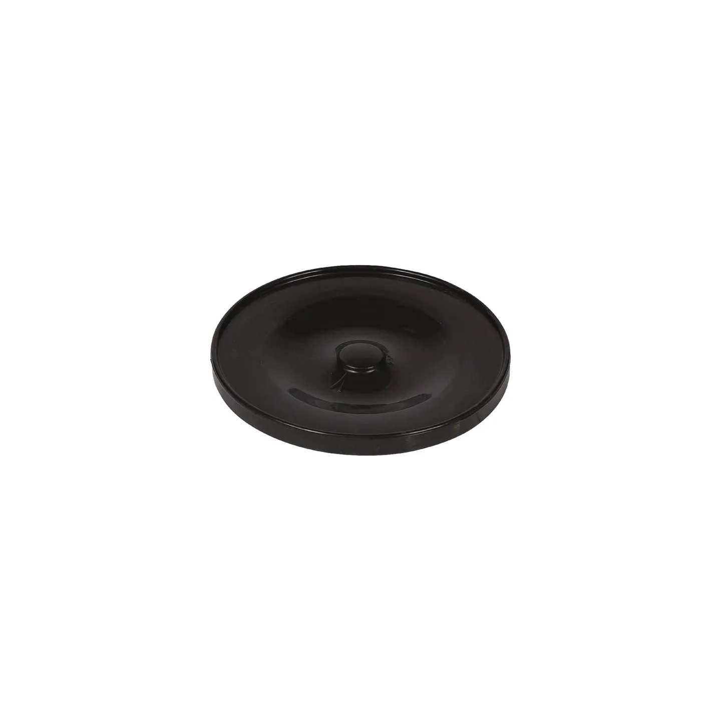Membrane  RG00019057 Kverneland / Rau