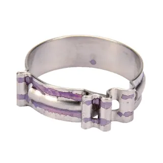 Šļūtenes skava Clic Standard Rau RG00027463 Kverneland / Rau