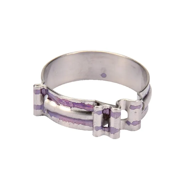 Hose clamp Clic Standard Rau  RG00027463 Kverneland / Rau