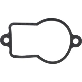 Flatseal  RG00011889 Kverneland / Rau