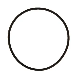 O-ring 94.85 x 3.53 Viton Rau  RG00018769 Kverneland / Rau