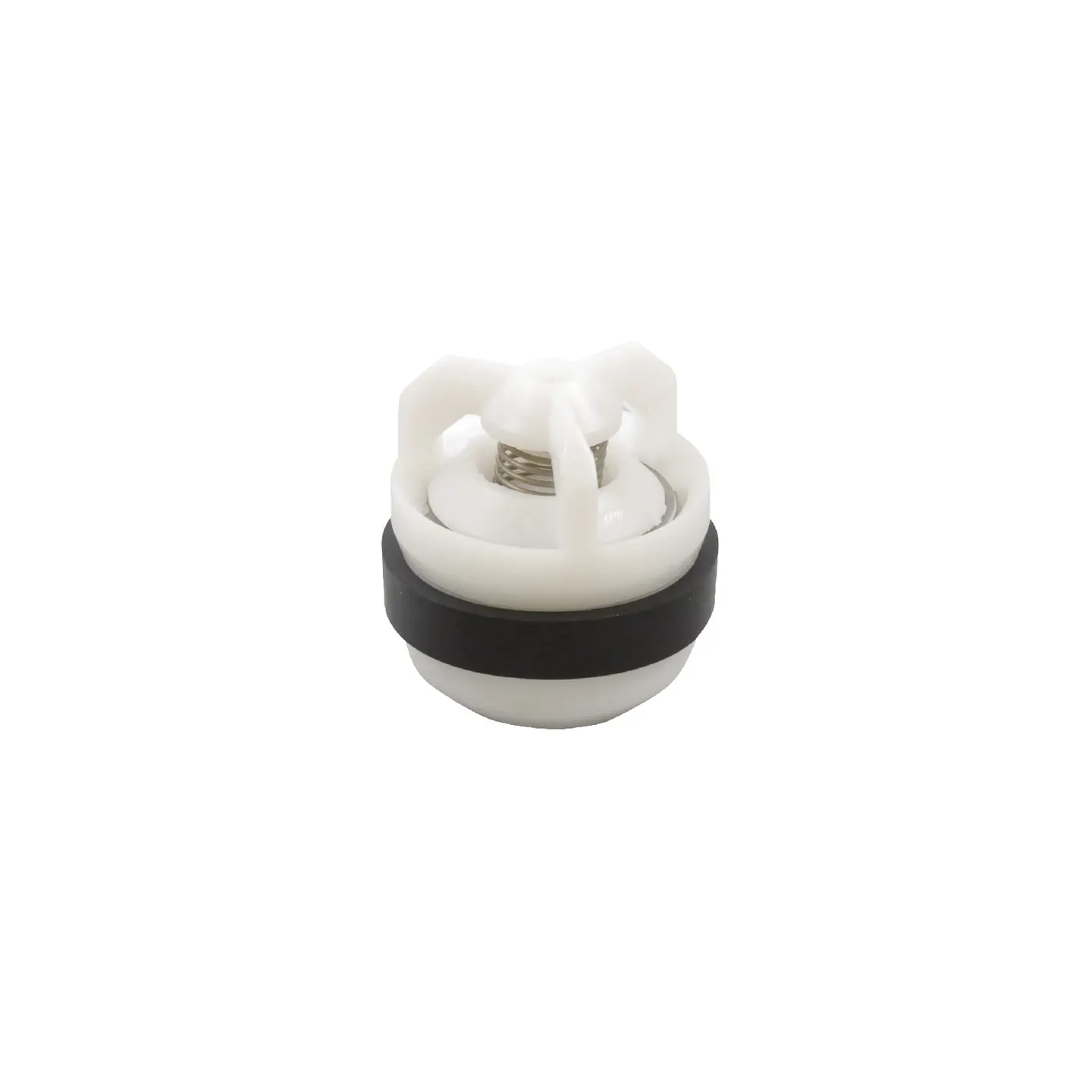 Valve complete with seal  RG00002714 Kverneland / Rau