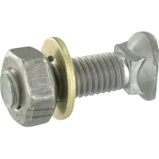Cap screw 10x38 attachng share  RF08563 Kverneland / Rau