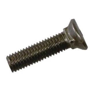 Share screw M10x38 Rau  RF01113 Kverneland / Rau