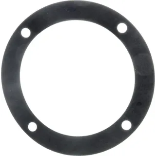 Flat seal  RG00031290 Kverneland / Rau