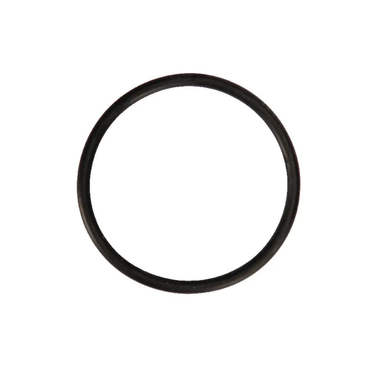 Gasket Rau  RG00058962 Kverneland / Rau
