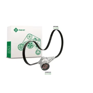 FEAD kit  529400510 LuK
