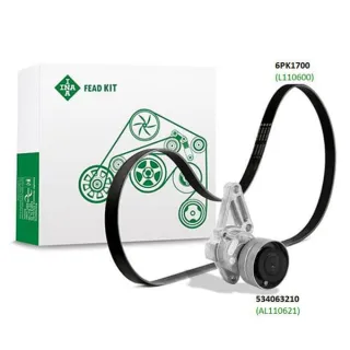 FEAD kit  529400010 LuK