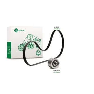 FEAD kit  529402910 LuK