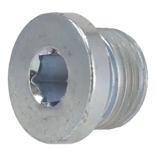 Screw plug  01149292 DEUTZ