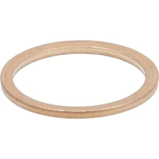 Sealing ring  01118713 DEUTZ