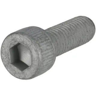Siera galvas skrūve 01149160 DEUTZ