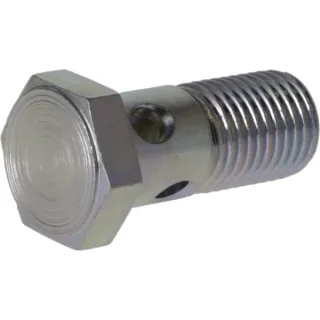 Hollow screw  01183878 DEUTZ