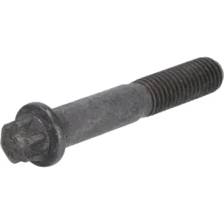 Torx galvas skrūve 01181757 DEUTZ